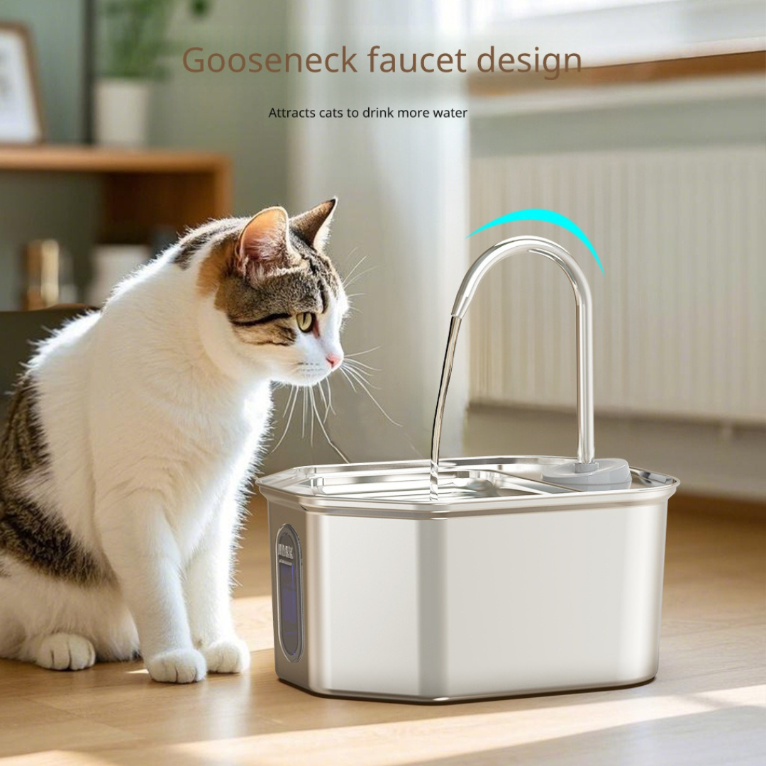 โค้งปานกลาง