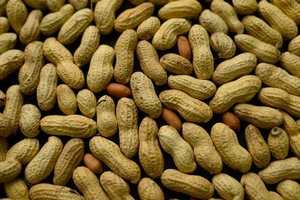Organic Dried <b>Peanuts</b> In-Shell Groundnuts Factory Price Bulk Sale for Sale - Product Image 5
