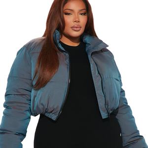 2023 femmes Hip Hop Style doudoune imperméable laine tissu fourrure décoration manches longues Polyester doublure coton remplissage - Product Image 2