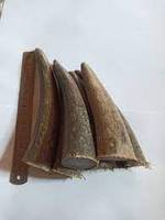 Corne de buffle artisanale naturelle Belle pointe Fait à la main en corne de buffle naturelle Taille personnalisée pointes de corne de buffle Par HAND MADE CRAFT
