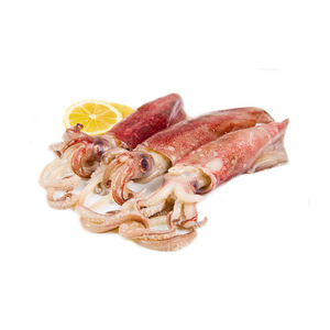 Calamar entero congelado de origen industrial disponible para necesidades de comercio al por mayor continuas - Product Image 2