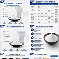 Poudre thermofusible DTF
