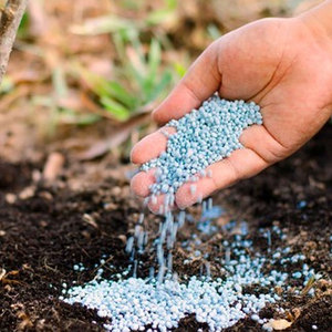 Engrais soluble de nitrate de prill de haute qualité pour l'agriculture Fournisseur en gros pour les plantes d'intérieur, les plantes succulentes et la culture hydroponique - Product Image 4