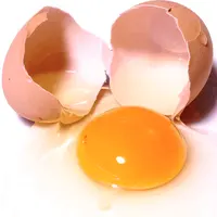 Ovos de mesa de galinha orgânica fresca, melhor qualidade disponíveis ovos de codornas frescas ao atacado preço com boa qualidade