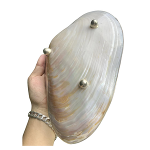 Centre de table en coquillages : Assiettes et cuillères de luxe en nacre, idéales pour la décoration de mariage ou les cadeaux haut de gamme - Product Image 3