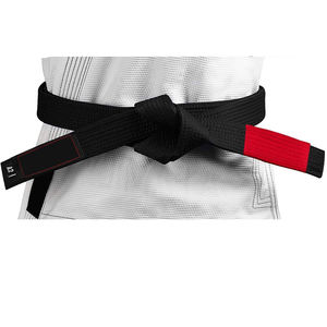2025 entièrement personnalisé fait bon fournisseur faites votre propre entraînement au combat porter nouveauté ceintures Bjj de qualité supérieure - Product Image 6