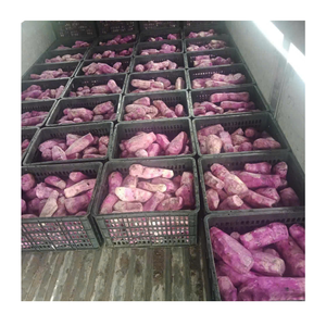 Fabricant vietnamien de haute qualité en dés ou en tranches d'igname violette congelée IQF de qualité supérieure, prix d'exportation abordable - Product Image 1