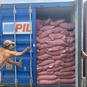 [Meilleur choix] poudre de Joss écologique pour la fabrication de bâtons d'encens Vietnam haute qualité meilleur prix en gros stock prêt Viet - Product Image 6