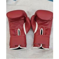 Gants d'entraînement Pro Gants de boxe pour hommes et femmes