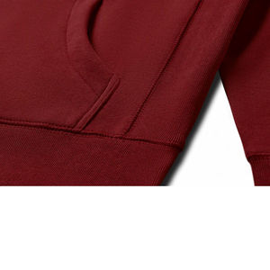 Sweat à capuche en coton 100% poids lourd, streetwear, logo personnalisé, sweat à capuche uni pour homme, sweat à capuche en molleton, gym, OEM ODM - Product Image 4