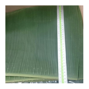 Hoja de plátano fresca congelada-100% hojas de plátano Premium naturales para envolver alimentos, asar a la parrilla y embalaje de exportación - Product Image 6