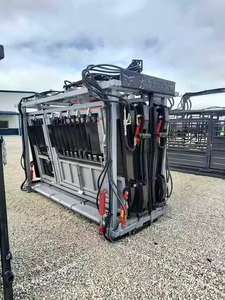 Chute hydraulique pour bovins Legacy - Product Image 2