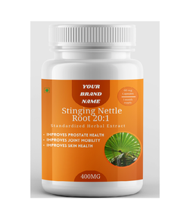 Capsules d'extrait de racine d'ortie sauvage de haute qualité directement du fournisseur indien avec marque privée - Product Image 1