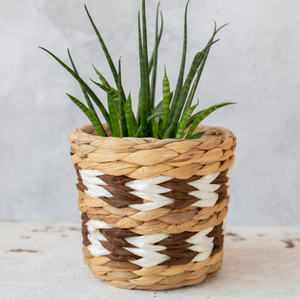 Pots et jardinières de jardin de la meilleure qualité, jardinière en jacinthe d'eau, prix bas, panier à plantes tissé - Product Image 6
