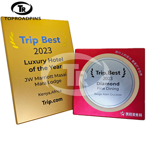 Placa de Metal Personalizada, Medalla con el Logotipo del Botón de Reproducción de YouTube y Bili Bili, Premio con Tecnología de Impresión UV, Fabricante Directo - Product Image 1