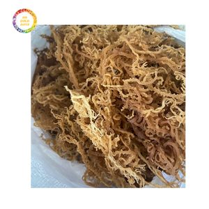 Suministro a granel mayorista de musgo marino irlandés seco perfecto para venta al por menor y fabricación con precio competitivo del Caribe - Product Image 2