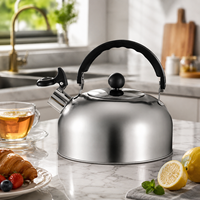 Bouilloire sifflante en acier inoxydable 3/4/5L, design moderne et écologique, colorée, pour cuisinière, vente en gros