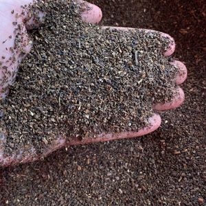 PINHEAD CASSÉ 1.5MM 2.0MM 2.5MM POIVRE NOIR ÉPICES AU POIVRE BLANC DU VIETNAM POUR ASSAISONNEMENT EN POUDRE D'ÉPICES - Product Image 6