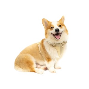 Arnés Ajustable de Nailon para Perros Medianos con Cierre de Hebilla en Color Beige - Product Image 3