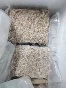Premium Quality Frozen Lemongrass in Bulk Directly Export from Vietnam Suppliers - Product Image 3