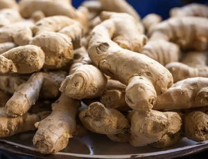 MEILLEUR VENDEUR VIETNAMIEN RACINE DE GINGEMBRE LÉGUME FRAIS FOURNITURE EN VRAC À PRIX BON MARCHÉ BLEU LOTUS - Product Image 2