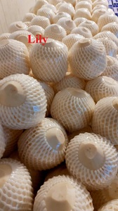 Calidad de exportación de cocos jóvenes de grado Premium | OEM disponible/Lirio - Product Image 3