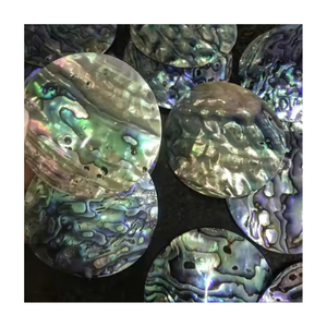 Venta al por mayor de conchas coloridas de Paua en blanco, concha de abulón, escamas redondas, piezas de incrustaciones, decoraciones para muebles de joyería de 99 Gold Data - Product Image 6