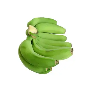 高品质100% 绿色新鲜卡文迪许香蕉出口香蕉国际标准最佳价格从顶级供应商