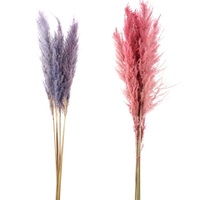 Rumput Pampas grosir tanaman bunga hias alami kering besar Mini pernikahan Hari Ibu rangkaian buket pengantin
