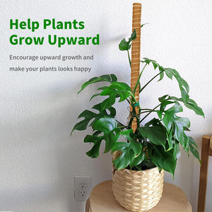 <b>Cover</b> Shipping Fee US Stock 4pcs <b>Plastic</b> Coated Moss Pole Kit with Ties Monstera Indoor/Outdoor Plants Support - Product Image 6