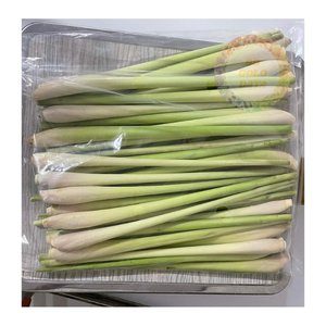 Fournisseur en gros de citronnelle congelée IQF-Meilleur prix pour les acheteurs internationaux-Fraîchement coupé et emballé pour une distribution mondiale - Product Image 4