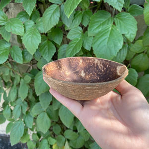 Bol en coquille de noix de coco de forme ovale Bol jetable poli Décoratif/Fabrication de bougies/Artisanat/Bougeoir/Salade/Smoothie Lisse - Product Image 4