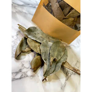 Hojas de Guanábana secas orgánicas de grado premium-Graviola-Libre de pesticidas-Serie de té de hierbas puro - Product Image 3