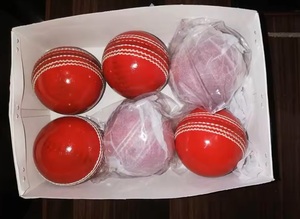 Pelota dura de cuero de calidad Primmum - Product Image 4