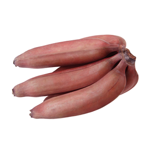 Ferme de bananes biologiques vertes fraîches de haute qualité à la table exportateur de fruits naturels banane verte biologique banane verte mûre fraîche - Product Image 1