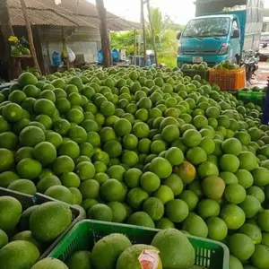 Fruta al por mayor Toronto-Comprar Pomelo Fruit Online Canadá