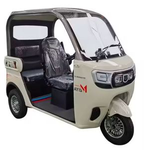 Trikes électriques Motos 4 places Corps fermé Moteur haute puissance Passager (Mini-Type) - Product Image 4