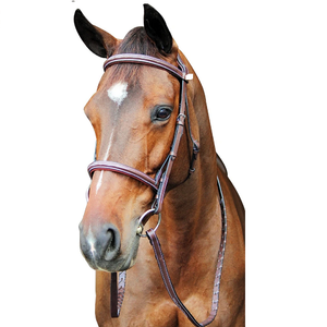Brida de cuero de caballo de alta calidad, precio al por mayor, brida de cuero de filete de caballo, elección profesional - Product Image 3