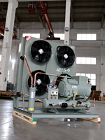 Unité de condensation extérieure automatique Sanyo à moteur à deux ventilateurs pour équipement de réfrigération |   Unité de condensation pour chambre froide haute performance 4 HP