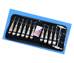 ชุดเครื่องมือผ่าตัดทางช่องปากสำหรับการถอนฟันแบบดึงถอน (Root Elevators) จำนวน 12 ชิ้น ทำจากสแตนเลส ใช้ด้วยมือ ได้รับการรับรองมาตรฐาน CE และ ISO - Product Image 6