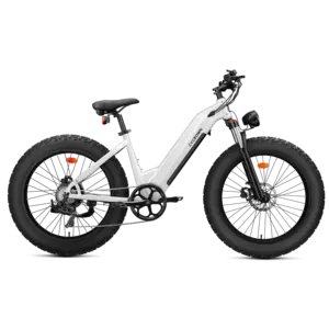 Bicicleta Eléctrica de Montaña con Motor Central de 48V 1000W y Batería de Litio, Suministro de Fábrica - Product Image 4