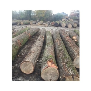 Troncos Redondos de Madera de Eucalipto de Grado de Construcción Duradero, Madera de Teca, Pino, Roble, Madera Dura y Sándalo, para Uso en Muebles - Product Image 1