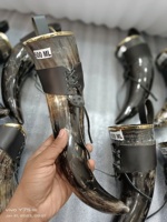 Corne à boire viking en buffle naturel de qualité supérieure à 100 % avec bordures en laiton et étuis en cuir à bas prix Agate