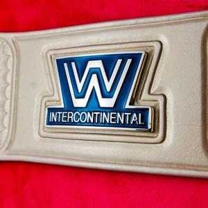 Ceinture de championnat personnalisée Options de conception uniques Matériaux durables parfaits pour les matches de lutte Tournois et Cérémonies de remise de prix - Product Image 6