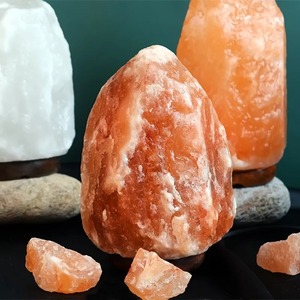 Lámpara de Concha Marina Tallada en Sal del Himalaya Ecológica, Diseño Moderno para Decoración del Hogar, Precio de Mayoreo Directo de Fábrica - Product Image 6