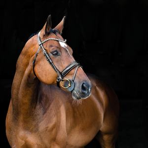 Bride anatomique de haute qualité en cuir véritable Bride de cheval FABRICANT Bride de cheval MEILLEUR cuir véritable de haute qualité - Product Image 2