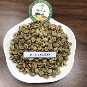 Granos de Café Robusta de Alta Calidad, Grado 18 Verde, Procesados, Precio Directo de Fábrica. Contactar a la Sra. Doris +84 35 254 2206 - Product Image 3