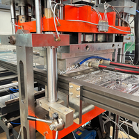 3/4 Stations Volautomatische Wegwerp Plastic Fruitcontainer Thermovormende Machine Voor Pp Pet Pla Pvc Ps Voedsel Scharnierende Doos