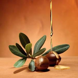 L'HUILE DE TAMANU RAFFINÉE PRESSÉE À FROID EST ÉCOLOGIQUE ET UNE GRANDE SOURCE DE NATÉRAUX CRUS - Product Image 5