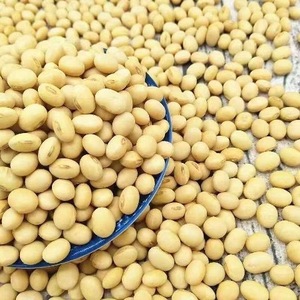 Soja de qualité, d'origine américaine, 10 kg, riche en protéines, bruts, naturels, sains, livraison rapide, vente en gros, non-OGM, durée de conservation de 24 mois - Product Image 1